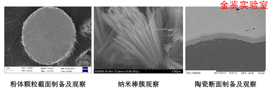 氩离子截面抛光+SEM 氩离子截面抛光+SEM