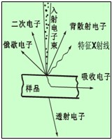 入射电子与样品作用产生的信号