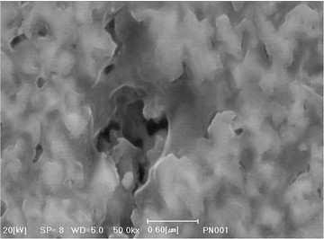 硬质合金晶粒形状（扫描电镜SEM）