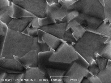 硬质合金晶粒形状（扫描电镜SEM）
