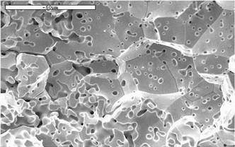 钼的沿晶断裂（扫描电镜SEM）