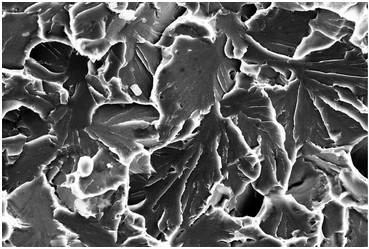 穿晶解理断口（扫描电镜SEM）