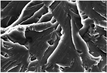 穿晶解理断口（扫描电镜SEM）