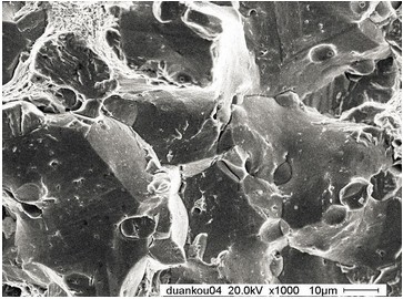 沿晶断口（扫描电镜SEM）