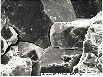  沿晶氢脆（扫描电镜SEM）