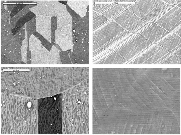 多晶位错及滑移（扫描电镜SEM）