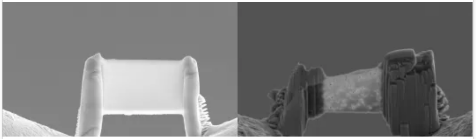 9.png
