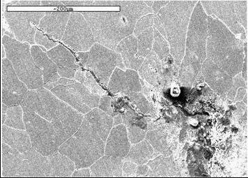 微裂纹 （扫描电镜SEM）