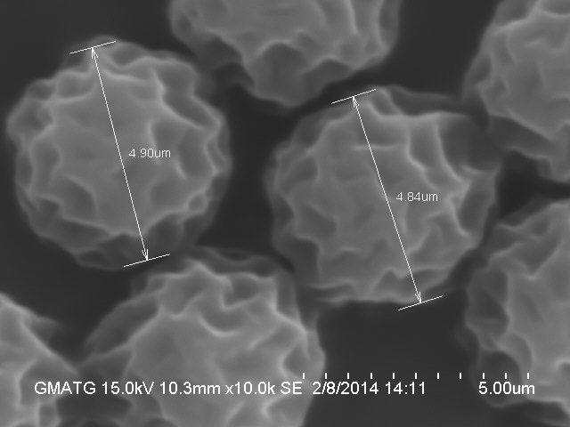 PMMA颗粒形貌（扫描电镜 SEM）