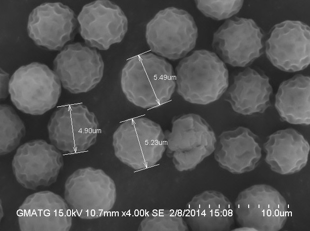 PMMA颗粒形貌（扫描电镜 SEM）