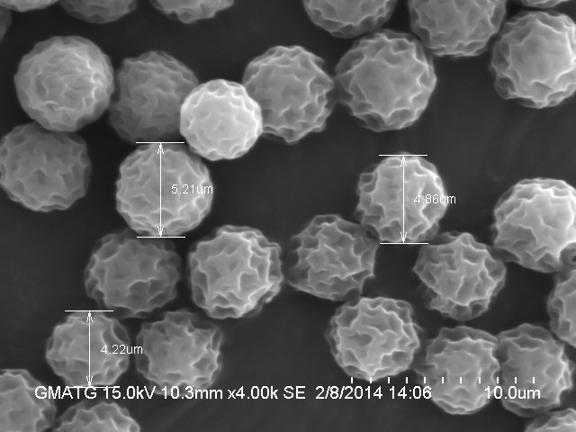 PMMA颗粒形貌（扫描电镜 SEM）