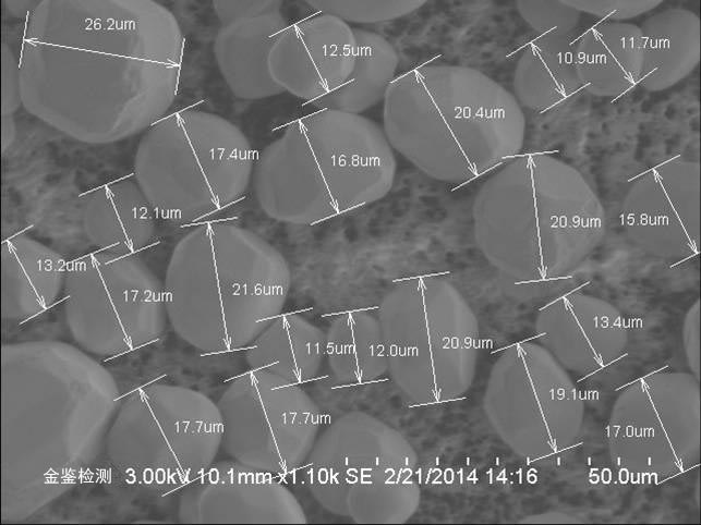 荧光粉直径的测量（扫描电镜SEM）