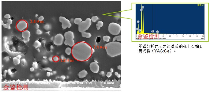 LED荧光粉涂覆工艺（EDS能谱分析）