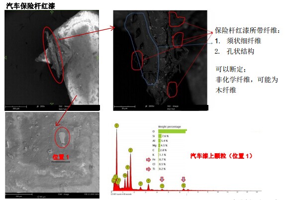 汽车保险杆红漆（扫描电镜SEM）