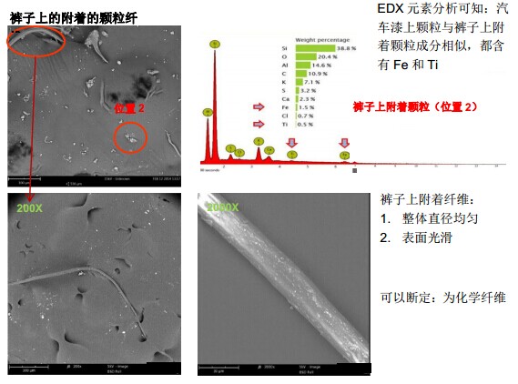 裤子上的附着的颗粒纤（扫描电镜SEM）
