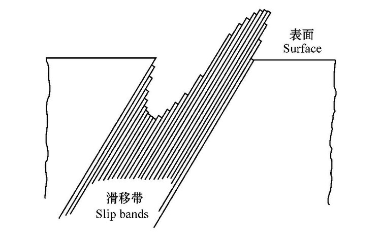 驻留滑移带上的挤出峰和挤入槽