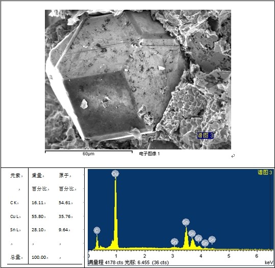 砂轮2断口测试位置3的SEM&EDS测试结果（扫描电镜SEM/能谱分析EDS）