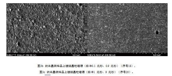 镀暗的显微照片