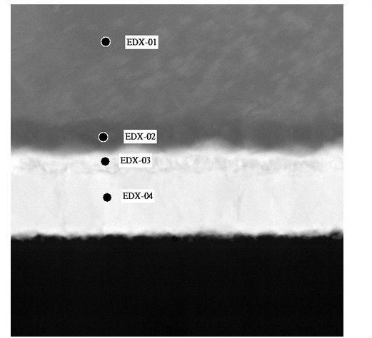 EDX Location（能谱分析EDX）