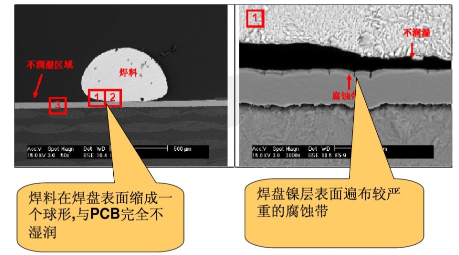 不润湿焊盘截面（扫描电镜SEM）