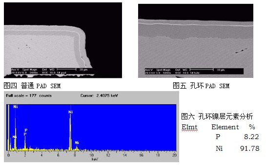 摇摆次数5－6次/minSEM及元素分析