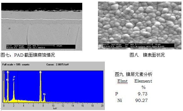 镍缸NO3-离子为5ppm的SEM及元素分析