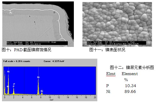 镍缸NO3-离子为10ppm的SEM及元素分析