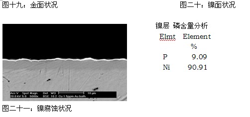 Cu2+离子浓度为2.0ppm时SEM与EDX分析