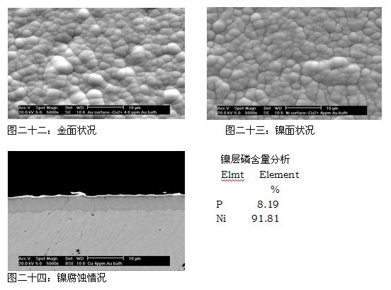 Cu2+离子浓度为5.0ppm时SEM与EDX分析