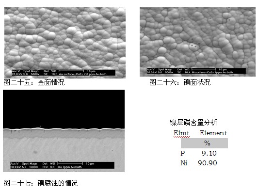 u2+离子浓度为10.0ppm时SEM与EDX分析