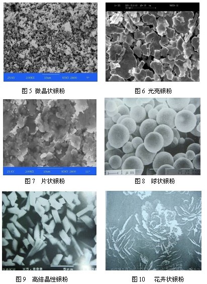 银粉形貌图 （扫描电镜SEM）